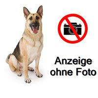 arte/BR suchen: Betroffene von "Animal Hoarding"/Tier-Sammel-Sucht