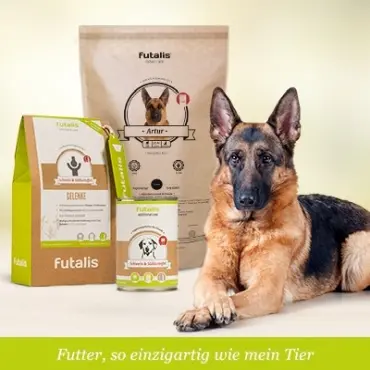 Welches Futter für Schäferhund?