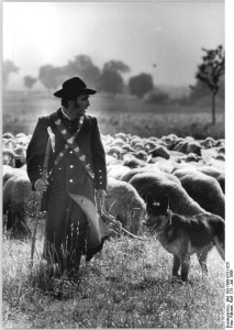 Schäfer mit Hund und Herde