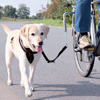 Fahrrad Halterung Schäferhund