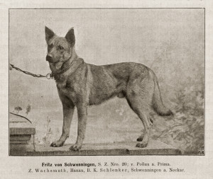 Fritz von Schwenningen
