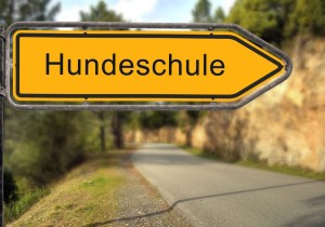 Schäferhund Hundeschule