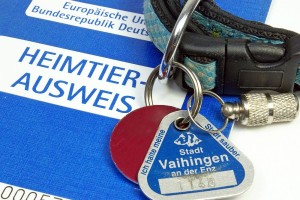Hundesteuer