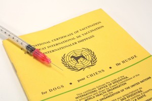 Impfbuch Schäferhund Welpen