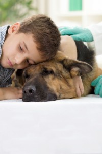 Wann muss der Schäferhund zum Tierarzt