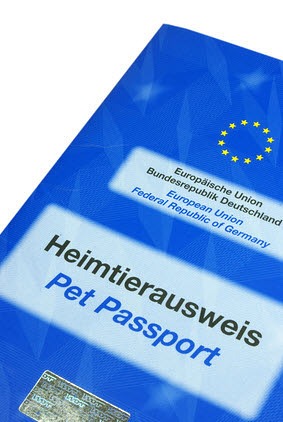 Schäferhund EU Heimtierausweis für den Urlaub