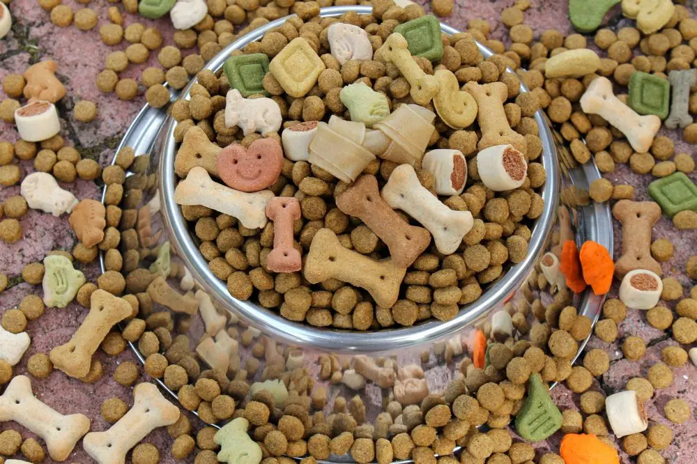Schäferhund Ernährung und Futter - Trocken Futter Sch%C3%A4ferhunD