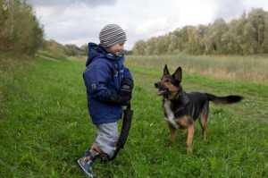 Schäferhund leben Familie