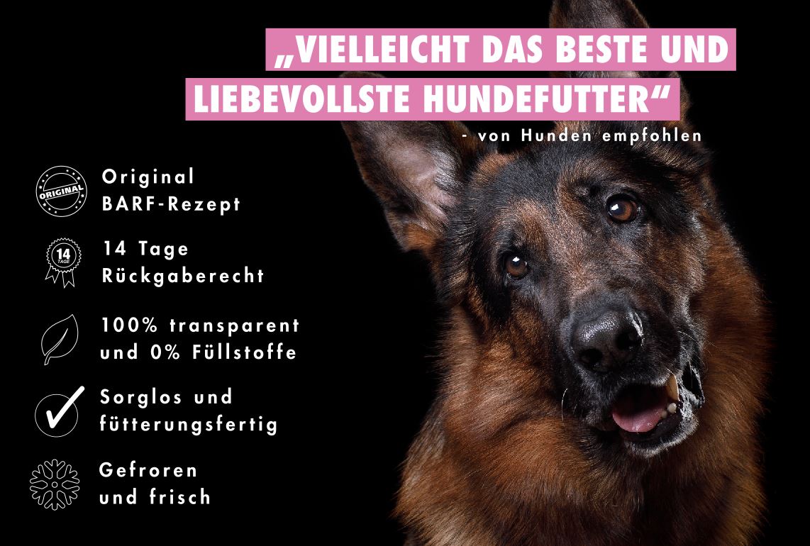 Schäferhund BARFen - Einfach und mit ganz viel Liebe!