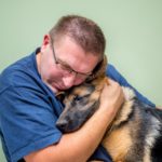 Schäferhund in Not - Gib einem Schäferhund ein neues Zuhause!