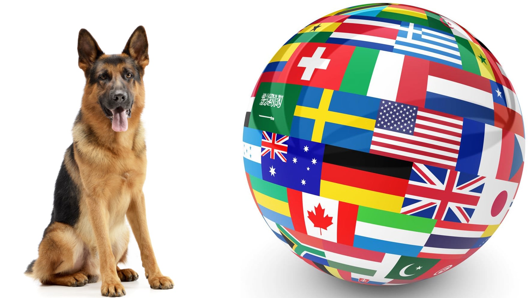 Schäferhund-Webseiten auf der ganzen Welt