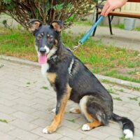 BIANCA - erfahrene Pflege- oder Endstelle gesucht!