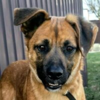 Tyson
