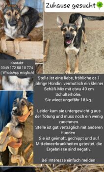 Miniaturansicht für das Anzeigenbild