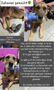 Miniaturansicht für das Anzeigenbild