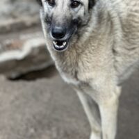 ELODY - ein Träumchen für aktive Menschen