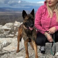Schäferhund(mix) Freunde aufgepasst – hier kommt unsere Reika
