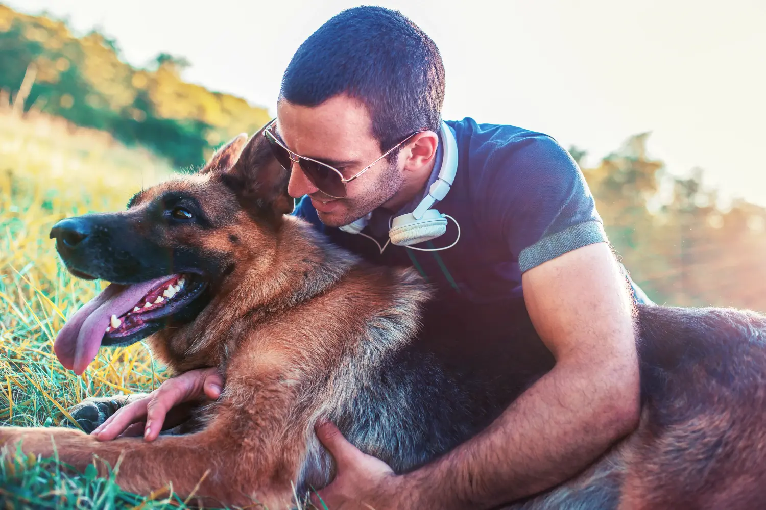 Deutscher Schäferhund - Meine Liebe zu dieser Hunderasse. Warum ich Deutscher Schäferhund liebe