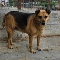 Miss Marmelade 🎀🎄Weihnachtswunder gesucht!