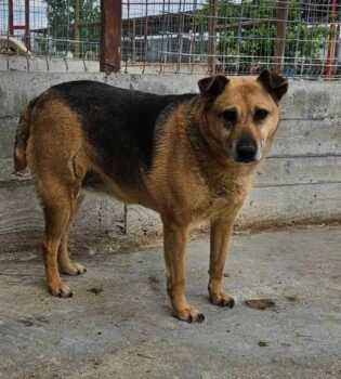 Miniaturansicht für das Anzeigenbild