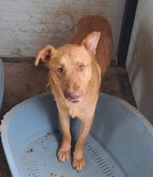 Miniaturansicht für das Anzeigenbild