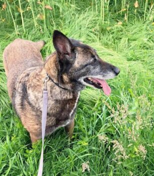 Miniaturansicht für das Anzeigenbild