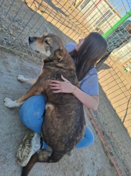 Miniaturansicht für das Anzeigenbild