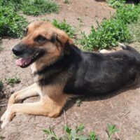 ZONIA - ein Schatz auf vier Pfoten!