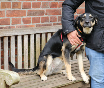 Miniaturansicht für das Anzeigenbild