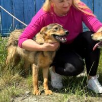 ❗️🆘Valencia - Wer holt sie aus der Tötung Pinsk - wer rettet sie?🆘❗️mit VIDEOS!