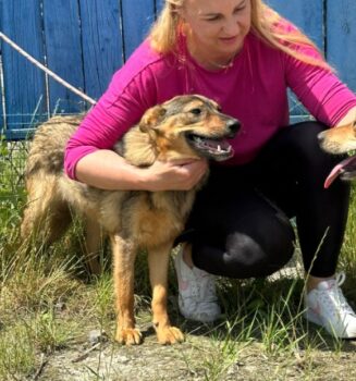 ❗️🆘Valencia - Wer holt sie aus der Tötung Pinsk - wer rettet sie?🆘❗️mit VIDEOS!
