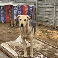 😭Djon gehört definitiv zu den vergessenen Seelen (mit VIDEO)😭