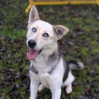 ❌Wer rettet Luna aus der völlig überfüllten TÖTUNG?❌