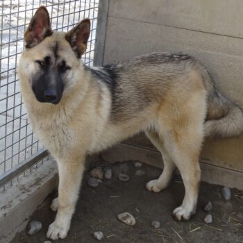 Miniaturansicht für das Anzeigenbild