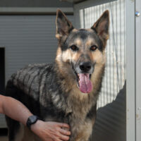 Ulisse – Er hat so viel zu geben