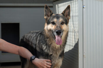 Ulisse – Er hat so viel zu geben