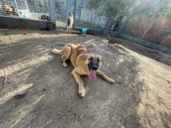 MEG - sie braucht aktive Menschen