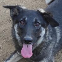 ATMA - klein und zart