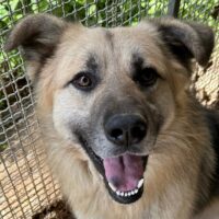 PITI - I am Piti and so pretty