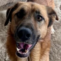 ALEX - er hat so viel Potenzial