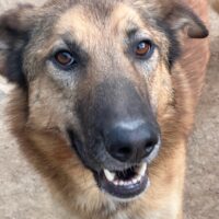 DANNY - sensibel & menschenbezogen