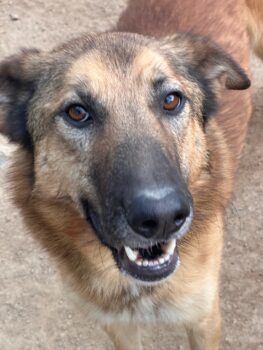 Miniaturansicht für das Anzeigenbild