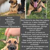 Ich suche meinen Freund für den Rest des Lebens!