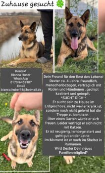 Ich suche meine Familie!