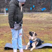 Rico sucht neues Zuhause