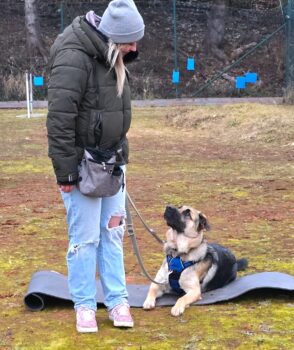 Rico sucht neues Zuhause