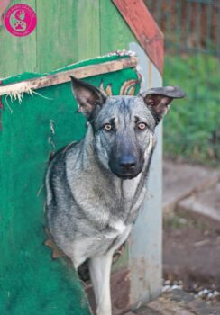Miniaturansicht für das Anzeigenbild