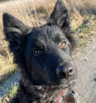 Miniaturansicht für das Anzeigenbild