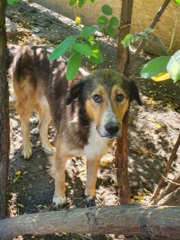 Miniaturansicht für das Anzeigenbild