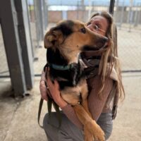 BUSJA - ca. 11 Monate, ca. 55 cm